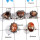 5 pcs Crazy Lace Agate Rings - F CRJ004- Latest Collection Crazy Lace Agate Gemstone 925 Sterling Silver Ring