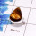 Beautiful Tiger Eye Cab C - PSR982-925 Sterling Silver Fashionable Design Tiger Eye Cab