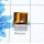 Beautiful Tiger Eye Cab D - PSR982-925 Sterling Silver Fashionable Design Tiger Eye Cab
