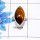 Beautiful Tiger Eye Cab E - PSR982-925 Sterling Silver Fashionable Design Tiger Eye Cab