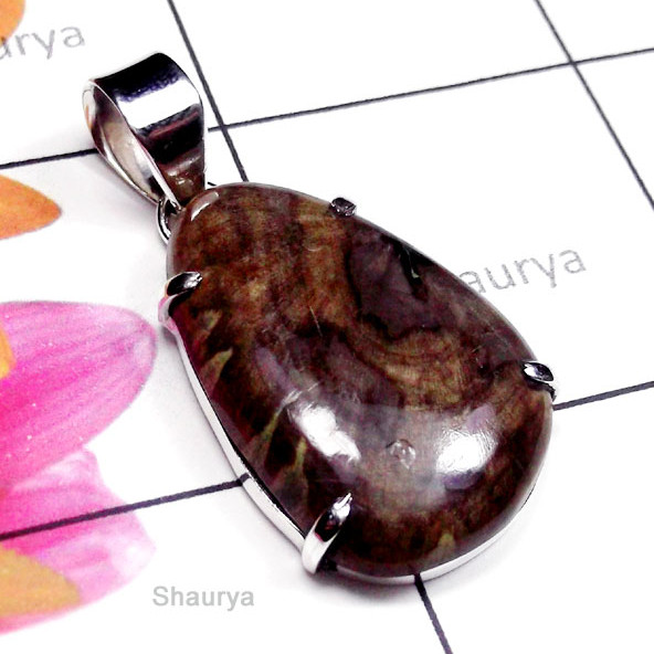 Petrified Wood B - SPS991-Petrified Wood Gemstone Natural Pendant Petrified Wood B - SPS991-Petrified Wood Gemstone Natural Pendant