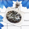 Pyrite Dendritic