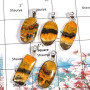 Bumble Bee- A WSP996 -925 Sterling Silver 5 Pcs. Combo Value Pack Pendant Lot