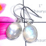 Rainbow B - BZE997- Dynamical silver gems Manufacturer Bejal Earring