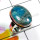 Appetite Blue F - DAB997-Appetite Blue 925 Sterling Silver Plain Ring