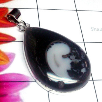 Colus Fossil D - DCF998-Colus Fossil Gemstone Sterling Silver Pendant Colus Fossil D - DCF998-Colus Fossil Gemstone Sterling Silver Pendant