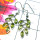 Perodot O - CMJ967- Sterling silver Peridot gems Earrings