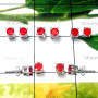 CarnElian O - SSE983-5 Pair Lightweight 925 Silver Cut Gemstone Stud Earring