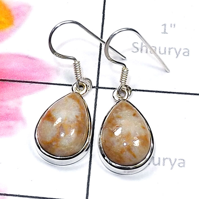 Fossil Coral C - SPE945-Semiprecious Cab Gemstone 925 Silver Manufacturer Plain E Fossil Coral C - SPE945-Semiprecious Cab Gemstone 925 Silver Manufacturer Plain E