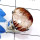 Bio Rutile F - SPR972-Fancy Shape Cab Gemstone 925 Sterling Silver Prong Settin
