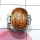 Bio Rutile I - RSS998-Semiprecious Cut n Cab Gemstone 925 Silver New Year Shaul