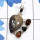 Black Coral, Tourmaline C - SSP939-Green Swiss Opal, Black Coral, Pink Aragonite, Ethiopian 