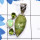 Green Swiss Opal, Ethiopian Opal O - SSP939-Green Swiss Opal, Black Coral, Pink Aragonite, Ethiopian 