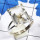 Crystal C - SPR961-Octo Prong Setting Ring 925 Sterling Silver Jewellery