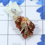 Vanadinite Druzy  J - SVD999-BEAUTIFUL NATURAL VANADINITE DRUZY PRONG SET 925 STERLING