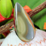 IMPERIAL JASPER O - DIJ991- EXCLUSIVE DESIGNER RINGS OF IMPERIAL JASPER GEMSTONE WIT
