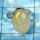 GOLDEN RUTAIL C - PSR822- NATURAL GOLDEN RUTAIL FANCY PLAIN SETTING RINGS MADE IN 