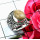 Fossil Coral A - SDR685-Geniune Multi Cab Gemstones Wholesale Designer Rings Manu