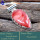 Imperial Jasper O - SSP875-Marvellous Wholesale Handmade Designer Pendants 925 Sterl