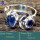 Tanzanite B - RSS858-925 Sterling Silver Company Wholesale Designer Rings Whol