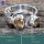 Citrine Cut L - RSS857-Stunning Party Wear Factory Made Designer Rings 925 Sterl