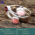 Rhodochrosite,Pink Opal & Garnet Cut B - RSS854-925 Sterling Silver Gorgeous Handmade Wholesale Rings Com
