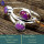Purple Copper Turquoise O - RSS854-925 Sterling Silver Gorgeous Handmade Wholesale Rings Com