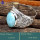 Larimar P - SDR640-Gorgeous Party Look Handmade Designer Rings 925 Sterling