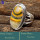 Bumble Bee C - SDR631-Trendy Look Designer Colourful Rings 925 Sterling Silver