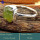 Peridot Rough B - SRR996-925 Sterling Silver Fabulous Rough Gemstone Rings Company