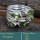 Peridot Cut O - SDR602-Classic Colourful Cut Gemstones 925 Silver Designer Ring