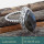 Labradorite Cab D - SDR599-Charming Colourful Cab Gemstones 925 Sterling Silver Ring