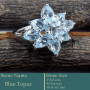 Blue Topaz Cut B - SCR821-Lovely Wholesale Design 925 Sterling Silver Cluster Ring