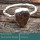 Tourmaline Rough K - SRR987-Charming Party Wear 925 Silver Ring Rough Gemstone Wholes