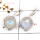 Rainbow Moonstone Cut C - SPE879-Latest Design 925 Silver Plain Setting Earrings Rainbow M
