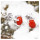 3x5mm Red Coral Cab A - SFJ918-Amazing Cab Gemstone 925 Silver Stud Earrings Made By Indian Factory