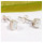 Rainbow Moonstone Cut E - SSE847-4x6mm Oval Cut Gemstone Stud Earrings 925 Sterling Silver Wholesale Collection