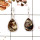 Astrophyllite Rough B - SPE860-Sparkling Astrophyllite Rough 925 Silver Plain Setting Earrings Handmade Collection