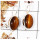 Tiger Eye Cab G - SPE848-Stylish Handmade Party Wear Earrings 925 Sterling Silver Cab Gemstone Wholesale India