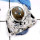 Labradorite Cab F - SCR795-925 Sterling Silver Gorgeous Cab Gemstone Casting Design Ring