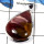 Mookaite Cab D - ISP611-Solid 925 Sterling Silver Natural Mookaite Gemstone Plain Setting Pendant