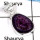 Charoite Cab D - CMJ817-Indian Factory Made Cab Gemstone Pendant Solid 925 Sterling Silver