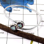 Mystic Quartz C - SNB993-Glamorous Eye Catching Adjustable Bangle 925 Sterling Silver