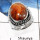 Crazy Lace Agate G - SDR532-Beautiful Crazy Lace Agate Handmade Designer Rings 925 Sterling Silver